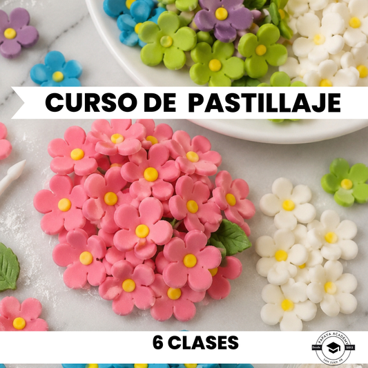 Matricula Curso de Pastillaje
